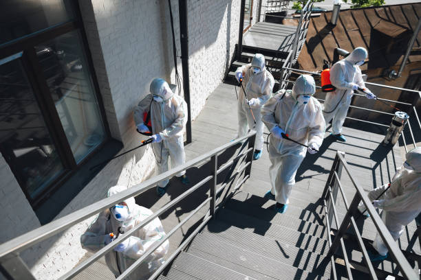Asbestos and Lead Testing During Mold Inspection in Sherman, TX