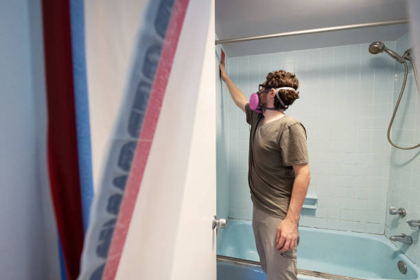 Trusted Sherman, TX Mold Removal Experts
