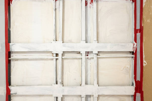 Best Mold Prevention Services  in Sherman, TX