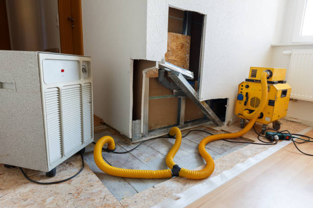 Best Post-Construction Mold Inspection  in Sherman, TX